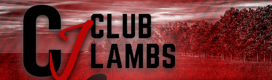 CJ Club Lambs