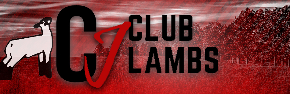 CJ Club Lambs