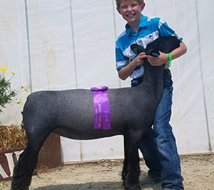 CJ Club Lambs Winners
