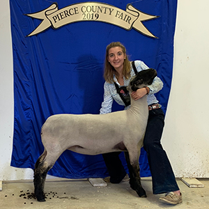 CJ Club Lambs Winners