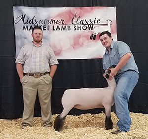 CJ Club Lambs Winners